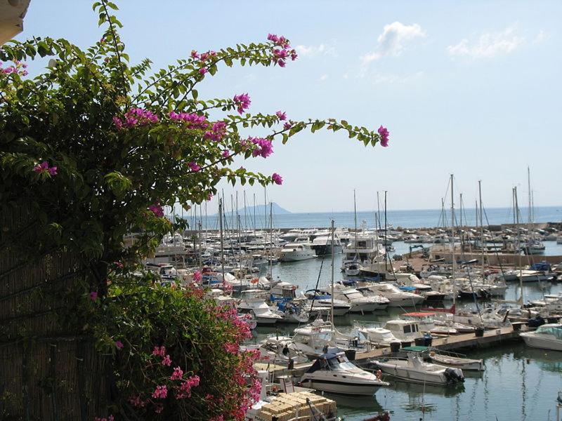 La Casa Degli Artisti 1 Hotel Nettuno Eksteriør billede
